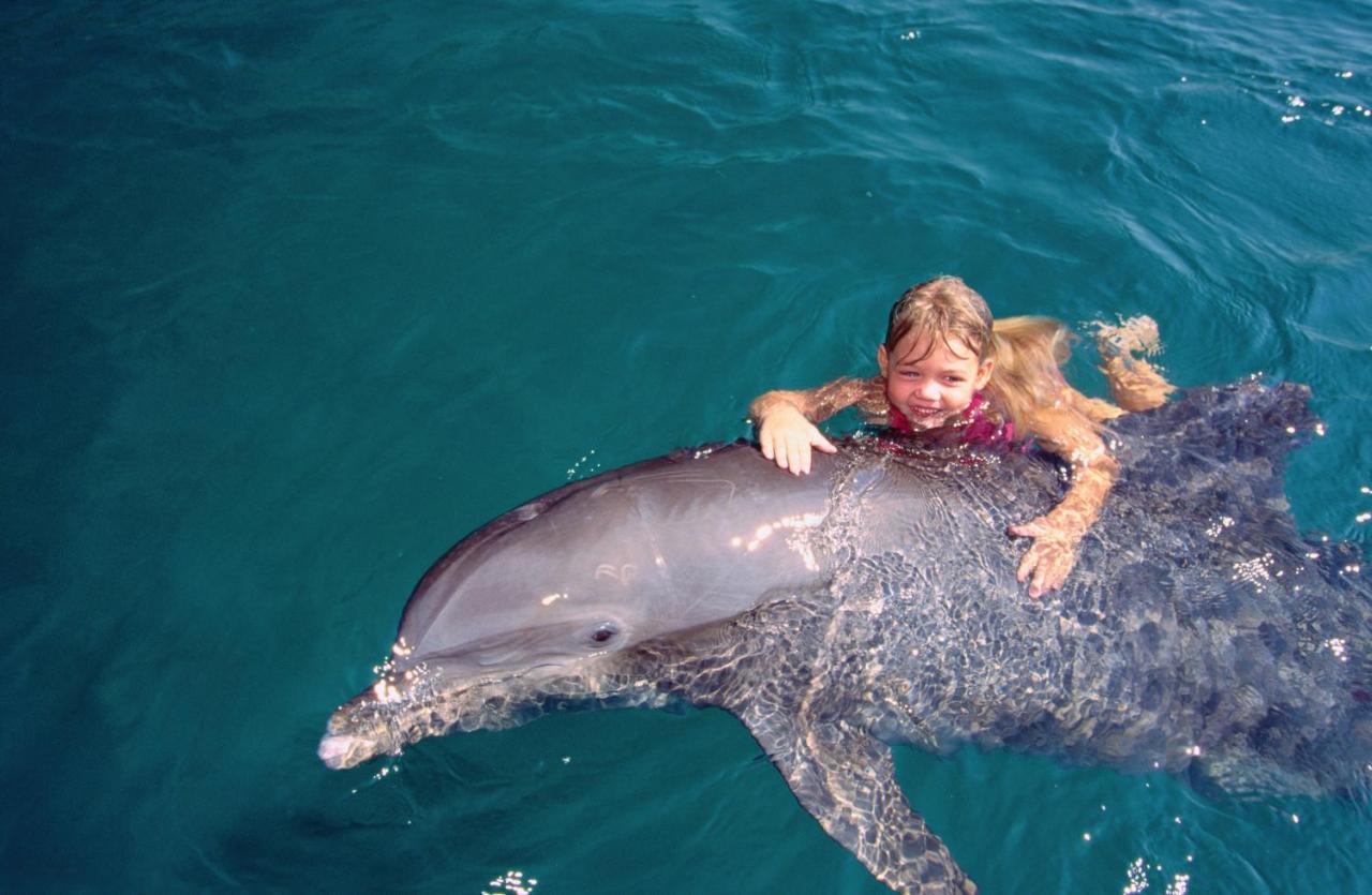 Vert Hotel Eilat By Afi Hotels Εξωτερικό φωτογραφία Dolphin and girl
